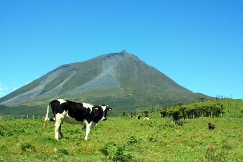 Pico Mountain / Montanha do Pico